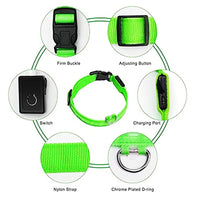 LED Pet Dog Collar for Night Safety | Bright USB Rechargeable - BIG FRENCHIES