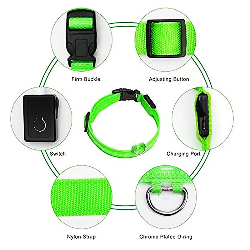 LED Pet Dog Collar for Night Safety | Bright USB Rechargeable - BIG FRENCHIES