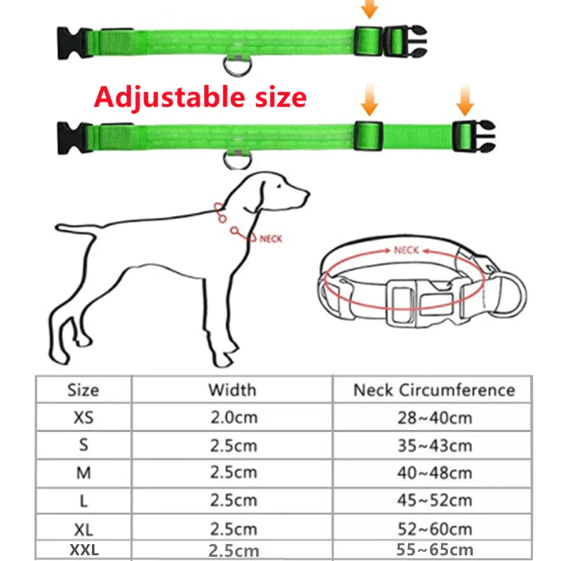 LED Pet Dog Collar for Night Safety | Bright USB Rechargeable - BIG FRENCHIES