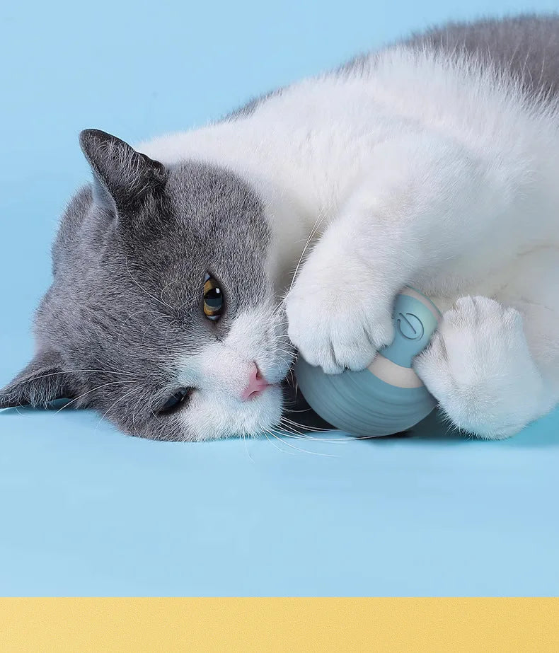 Smart Cat Toy Ball: Auto-Rolling for Active Play - BIG FRENCHIES