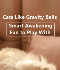 Smart Cat Toy Ball: Auto-Rolling for Active Play - BIG FRENCHIES