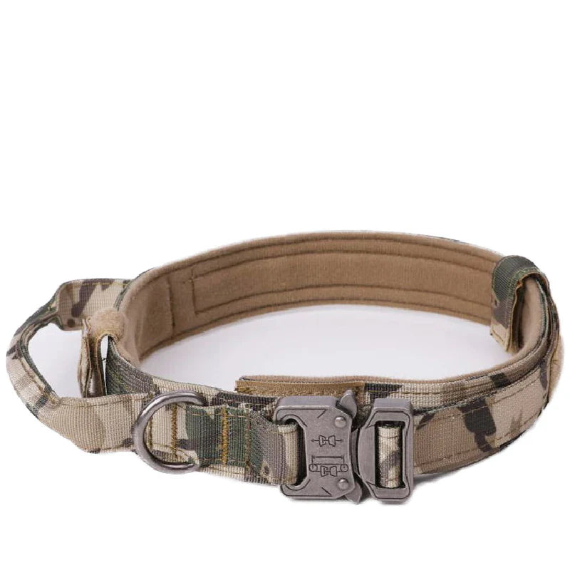 Durable Nylon Dog Collar with Reflective Leash Set - BIG FRENCHIES