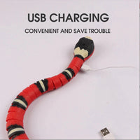 Automatic Smart Sensing Snake Cat Toy – Interactive USB Rechargeable Moving Pet Toy with Lights & Motion Detection for Cats