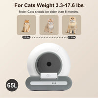 DOEL 65L Self-Cleaning Cat Litter Box with App Control | Automatic Smart Litter Box