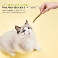 6PCS Natural Matatabi Cat Sticks – Silvervine Teeth Cleaning Treat & Cat Chew Toy - BIG FRENCHIES