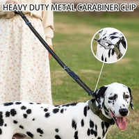 Reflective Shock Absorbing Bungee Dog Leash with Seatbelt Clip - BIG FRENCHIES
