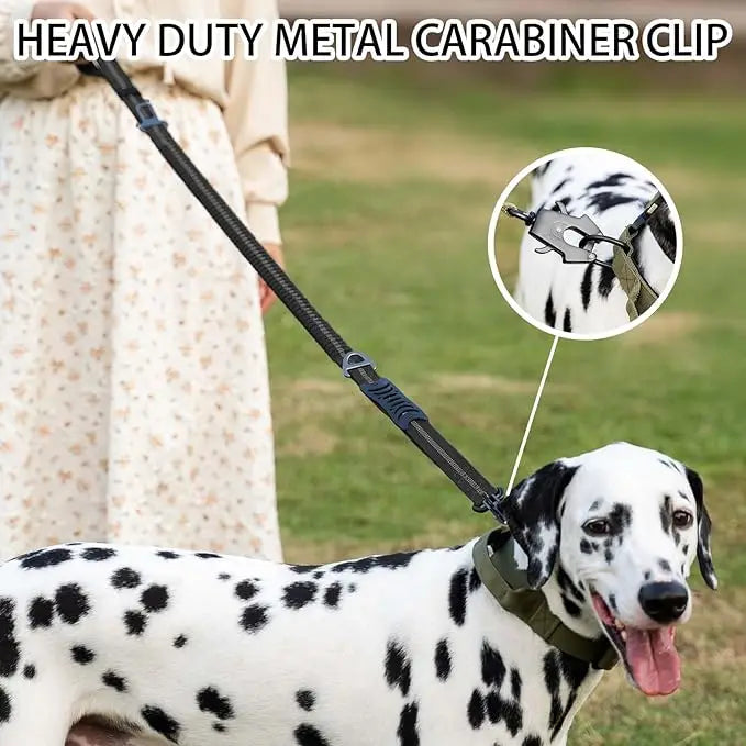 Reflective Shock Absorbing Bungee Dog Leash with Seatbelt Clip - BIG FRENCHIES