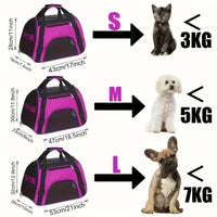 Portable Dog & Cat Travel Carrier – Breathable Mesh Pet Handbag - BIG FRENCHIES