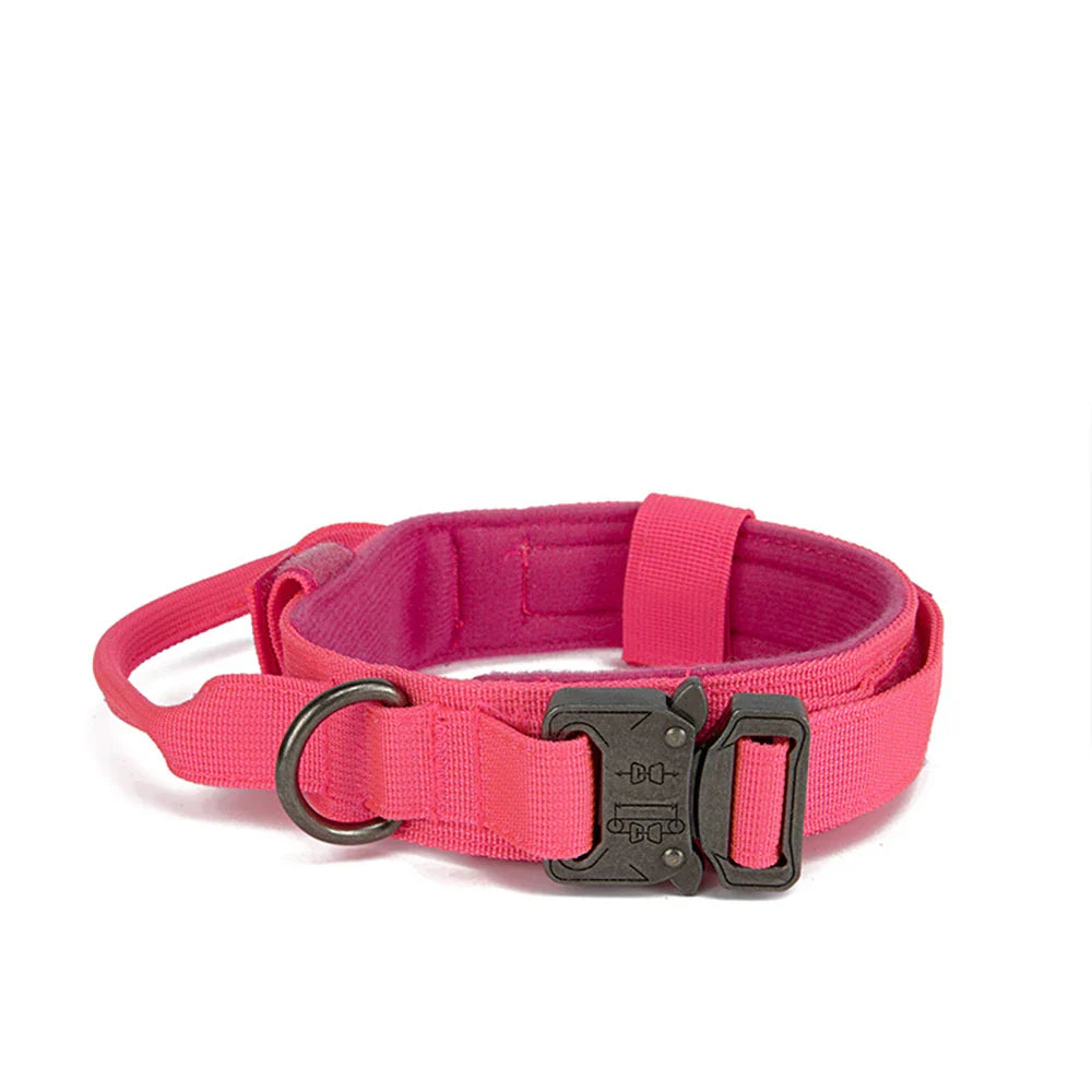 Durable Nylon Dog Collar with Reflective Leash Set - BIG FRENCHIES