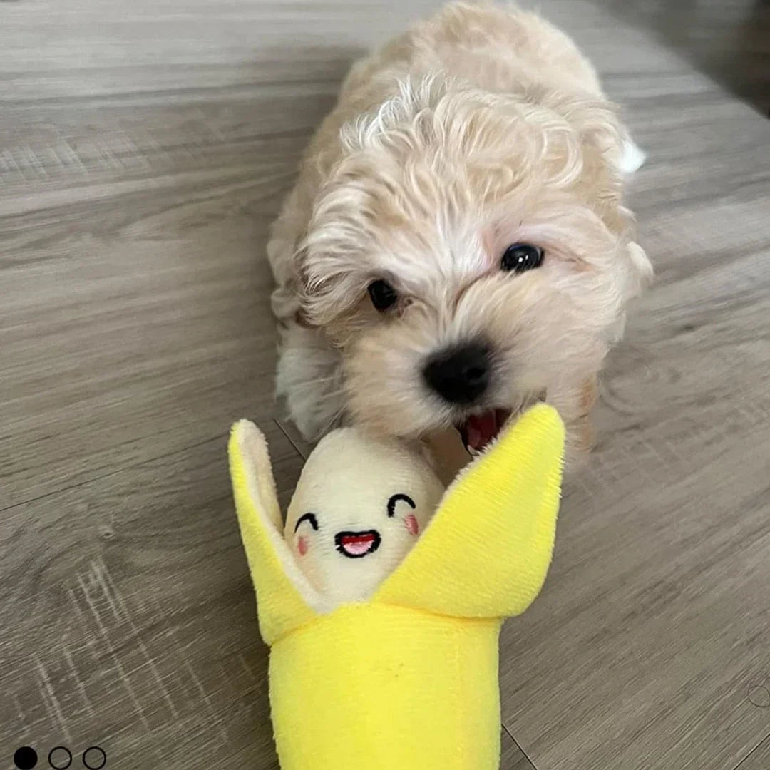 7-Piece Plush Puppy Toy Set – Chew, Play & Sound - BIG FRENCHIES