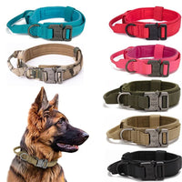 Durable Nylon Dog Collar with Reflective Leash Set - BIG FRENCHIES