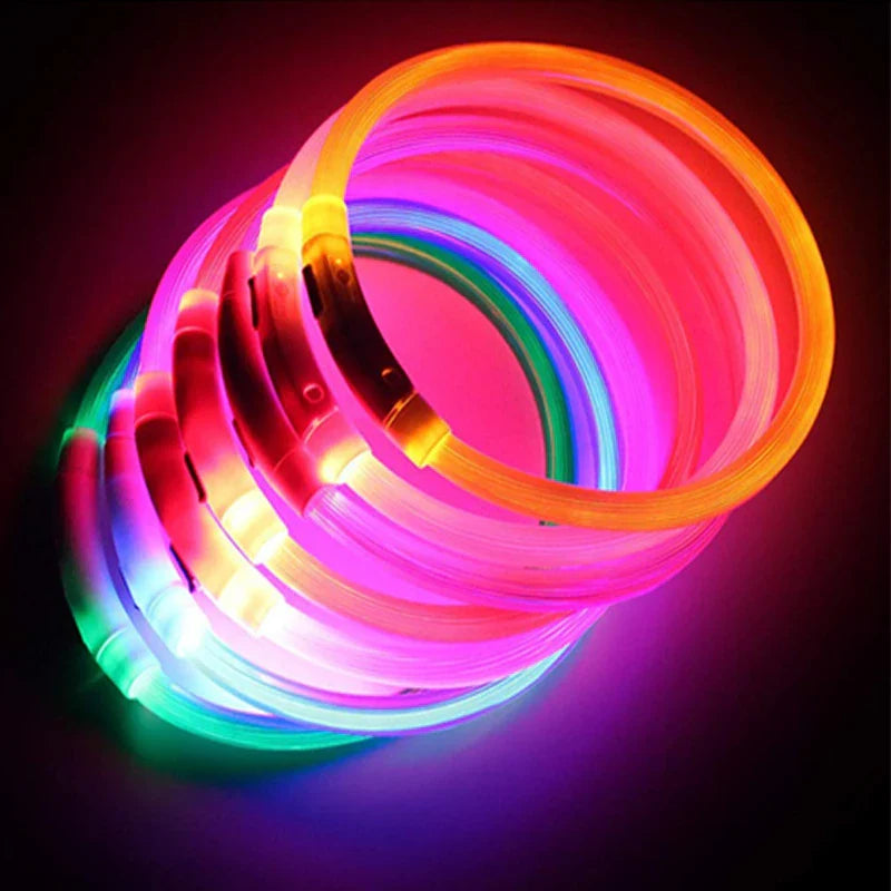 LED Pet Dog Collar for Night Safety | Bright USB Rechargeable - BIG FRENCHIES