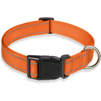 Reflective Adjustable Nylon Dog Collar Strap – Safety Traction Rope - BIG FRENCHIES