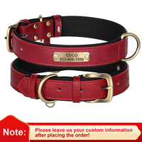 Personalized PU Leather Dog Collar with Custom Engraved ID Tag - BIG FRENCHIES