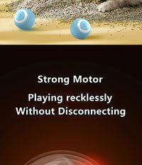 Smart Cat Toy Ball: Auto-Rolling for Active Play - BIG FRENCHIES