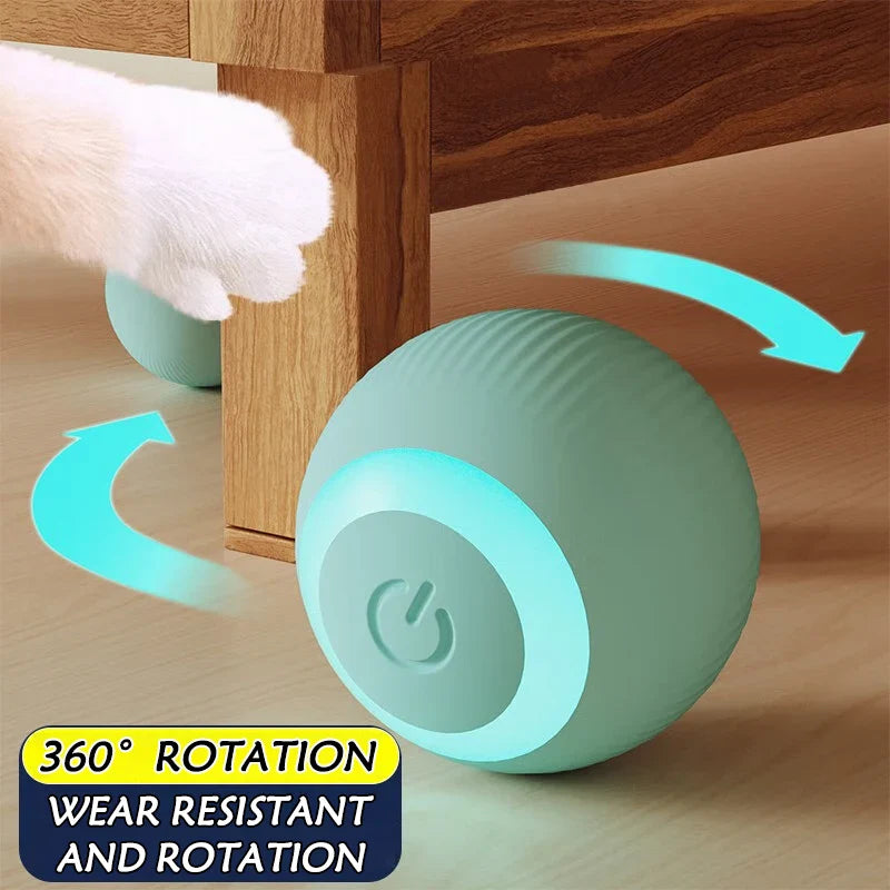Smart Cat Toy Ball: Auto-Rolling for Active Play - BIG FRENCHIES
