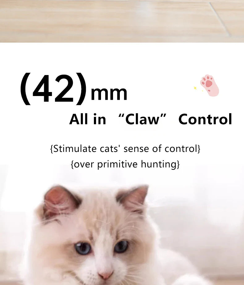 Smart Cat Toy Ball: Auto-Rolling for Active Play - BIG FRENCHIES