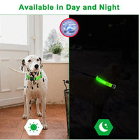 LED Pet Dog Collar for Night Safety | Bright USB Rechargeable - BIG FRENCHIES