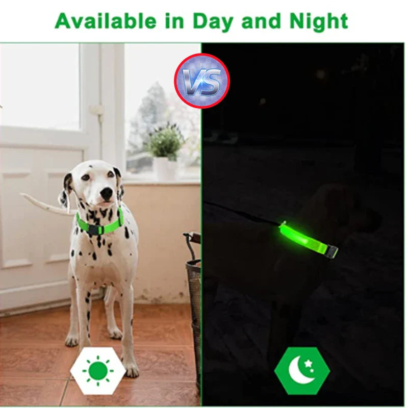 LED Pet Dog Collar for Night Safety | Bright USB Rechargeable - BIG FRENCHIES