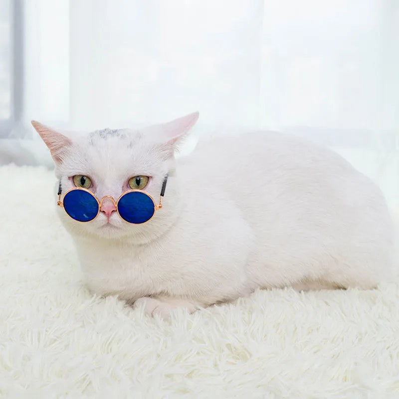 Cat & Dog Sunglasses – UV Protection Pet Photo Props - BIG FRENCHIES