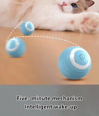 Smart Cat Toy Ball: Auto-Rolling for Active Play - BIG FRENCHIES