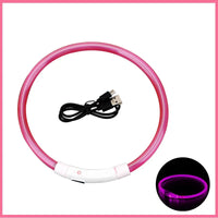 LED Pet Dog Collar for Night Safety | Bright USB Rechargeable - BIG FRENCHIES
