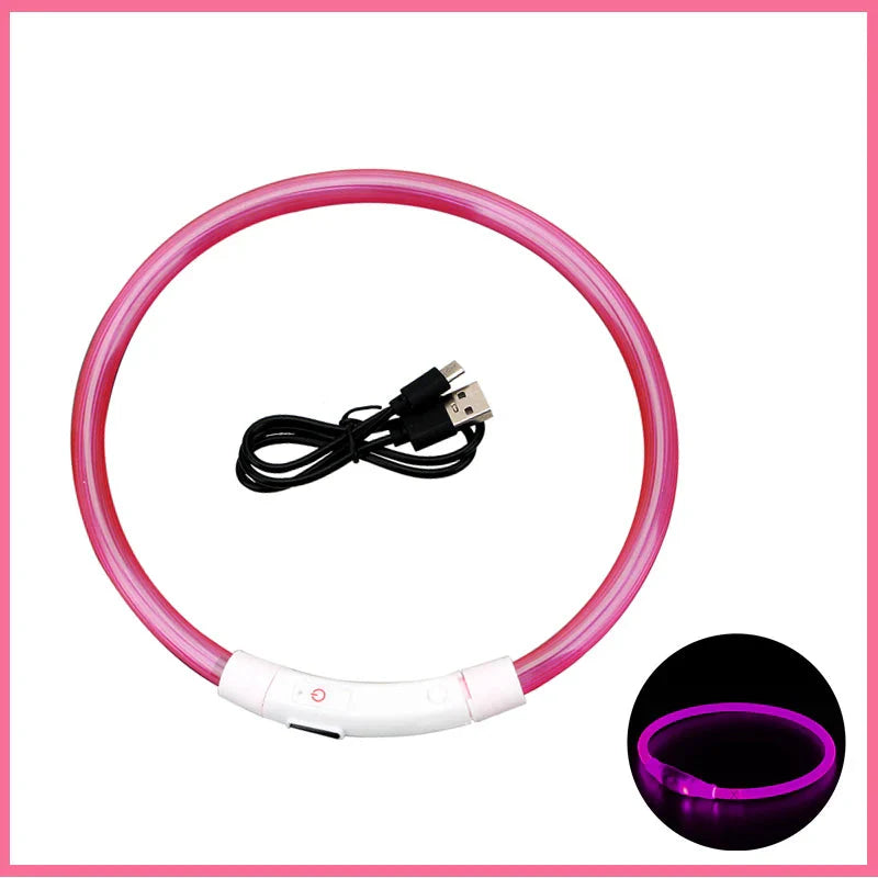 LED Pet Dog Collar for Night Safety | Bright USB Rechargeable - BIG FRENCHIES