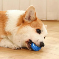 Smart Interactive Dog Toy Ball - BIG FRENCHIES