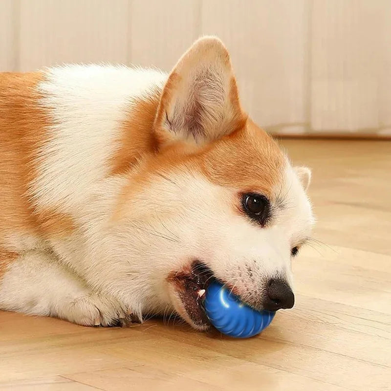 Smart Interactive Dog Toy Ball - BIG FRENCHIES