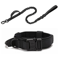Durable Nylon Dog Collar with Reflective Leash Set - BIG FRENCHIES
