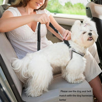 Adjustable Heavy-Duty Dog Car Seat Belt – Striped Nylon Safety Leash for Large Dogs - BIG FRENCHIES