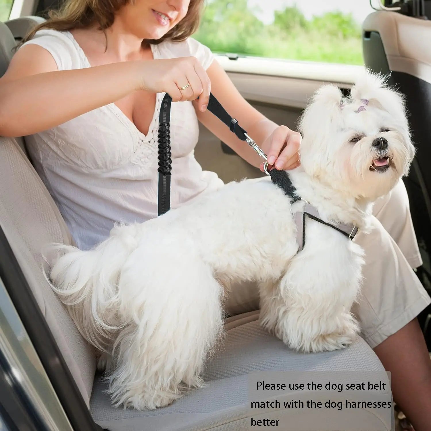 Adjustable Heavy-Duty Dog Car Seat Belt – Striped Nylon Safety Leash for Large Dogs - BIG FRENCHIES