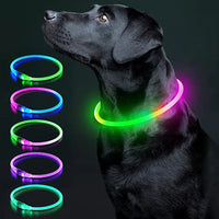 LED Pet Dog Collar for Night Safety | Bright USB Rechargeable - BIG FRENCHIES