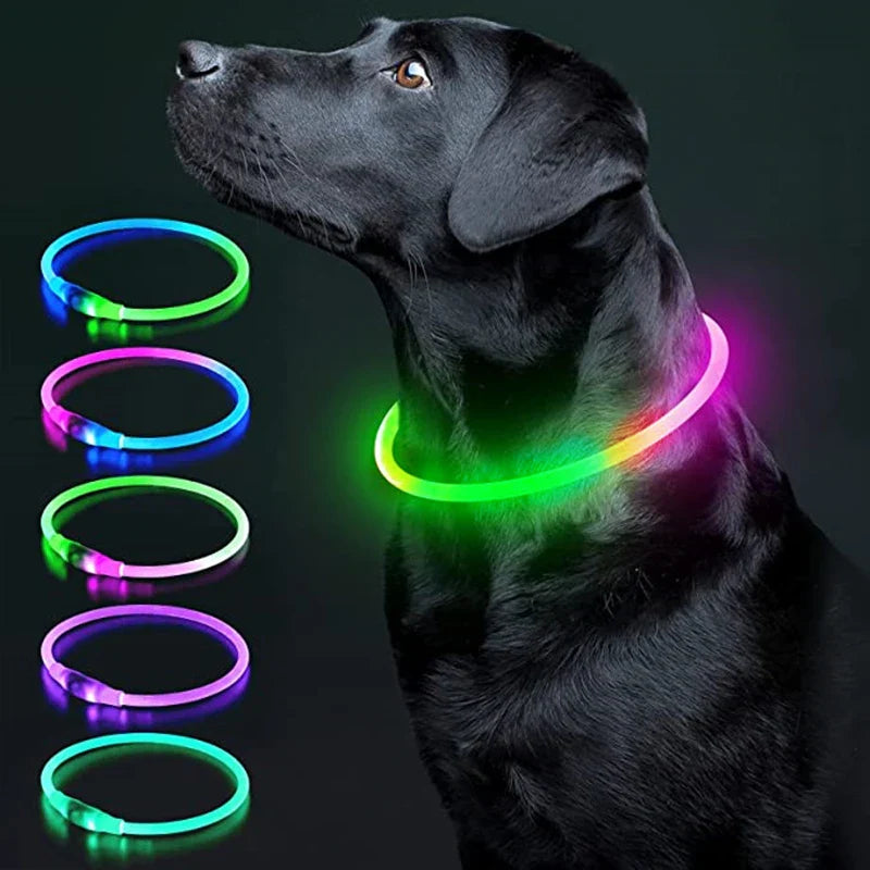 LED Pet Dog Collar for Night Safety | Bright USB Rechargeable - BIG FRENCHIES