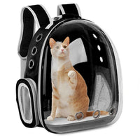 Space Capsule Pet Backpack – Ventilated Travel Carrier - BIG FRENCHIES