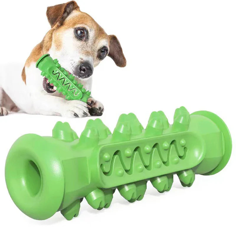Chew-Resistant Rubber Dog Toy for Dental Health - BIG FRENCHIES
