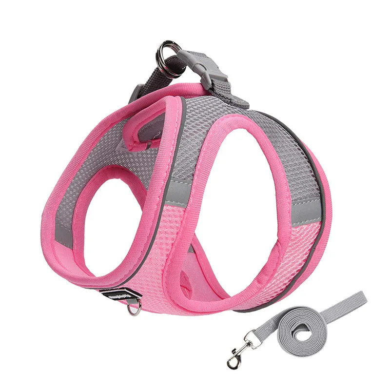 Adjustable Dog Harness & Leash Set for Small Dogs – Comfortable & Safe Walking Gear - BIG FRENCHIES