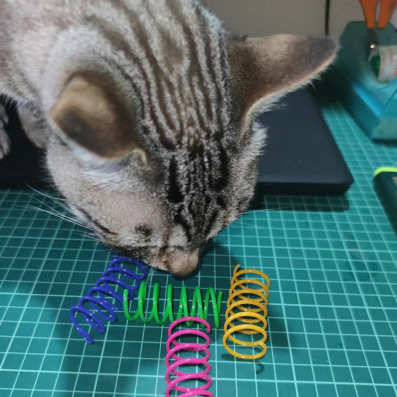 Colorful Cat Spring Toys – Durable Coil Play for Kittens - BIG FRENCHIES
