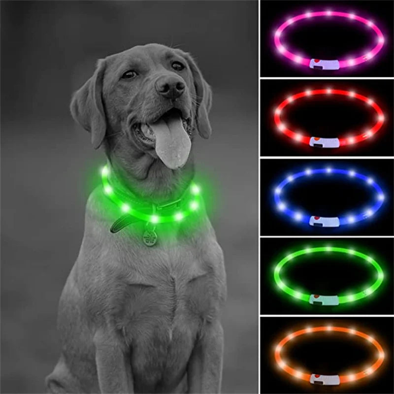 LED Pet Dog Collar for Night Safety | Bright USB Rechargeable - BIG FRENCHIES