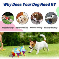 Rainbow Plush Flying Saucer Dog Toy – Interactive Chew & Training Disc - BIG FRENCHIES