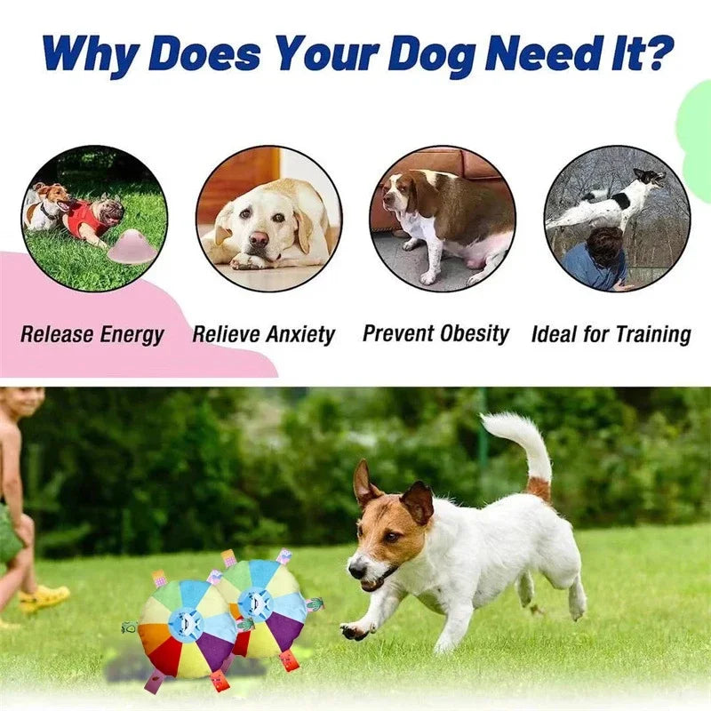 Rainbow Plush Flying Saucer Dog Toy – Interactive Chew & Training Disc - BIG FRENCHIES