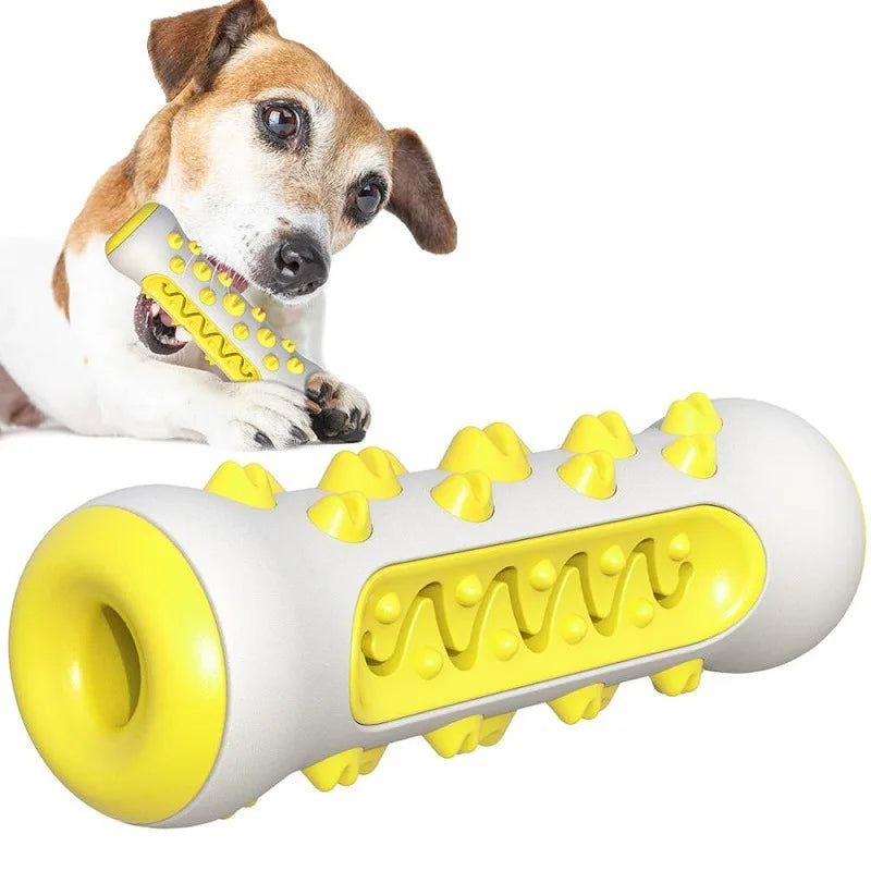 Chew-Resistant Rubber Dog Toy for Dental Health - BIG FRENCHIES