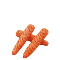 Sound Carrot Cat Toy | Teething & Anti-Bite Cuddle Stick for Cats - BIG FRENCHIES