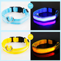 LED Pet Dog Collar for Night Safety | Bright USB Rechargeable - BIG FRENCHIES