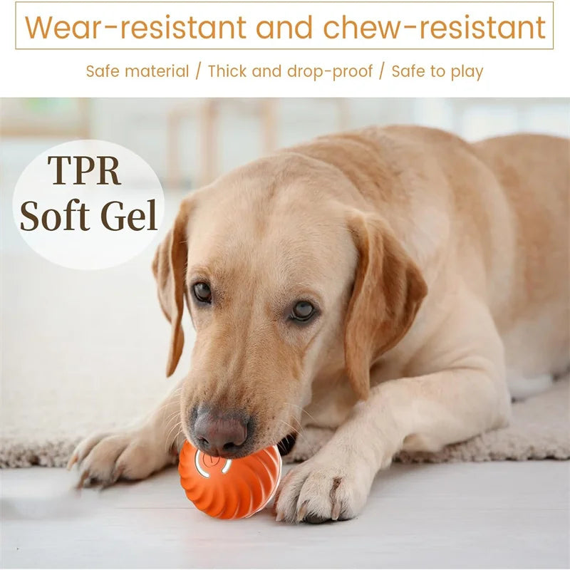 Smart Interactive Dog Toy Ball - BIG FRENCHIES