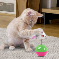 Cat Toys Set – Mouse & Teasing Interactive Pet Toys - BIG FRENCHIES