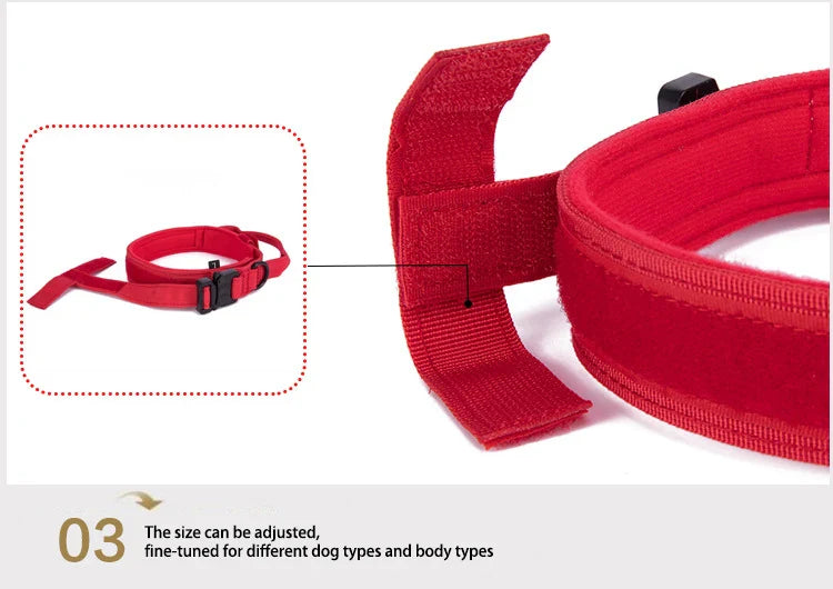 Durable Nylon Dog Collar with Reflective Leash Set - BIG FRENCHIES