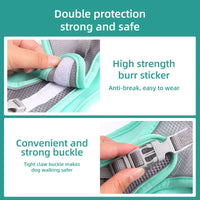Adjustable Dog Harness & Leash Set for Small Dogs – Comfortable & Safe Walking Gear - BIG FRENCHIES