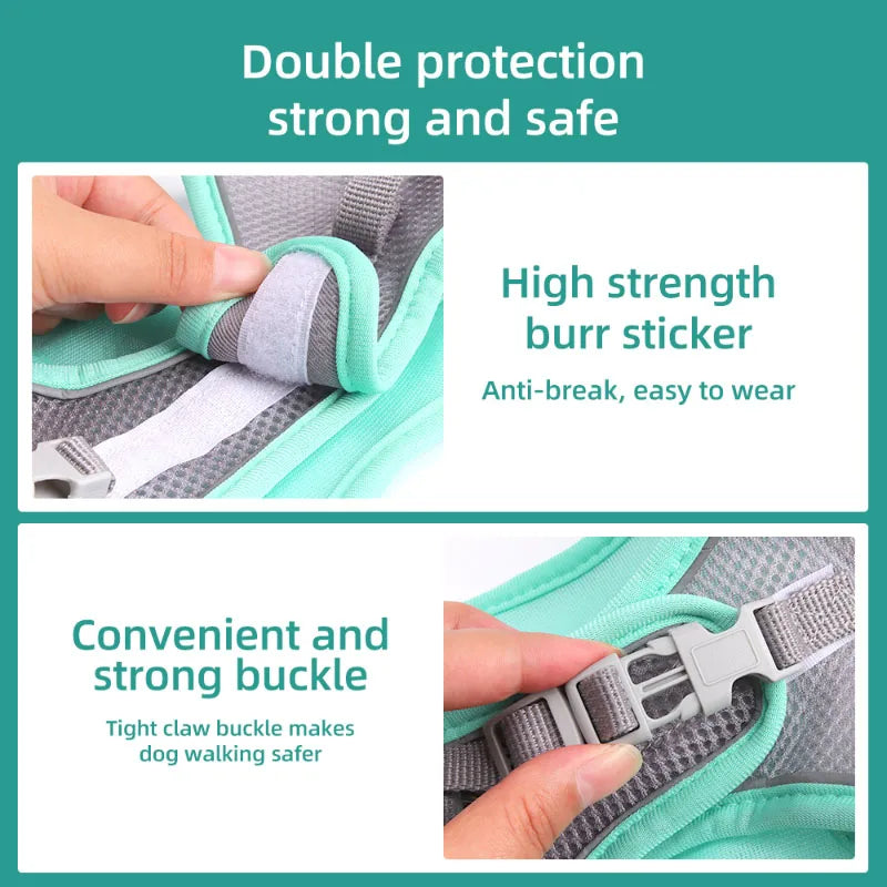 Adjustable Dog Harness & Leash Set for Small Dogs – Comfortable & Safe Walking Gear - BIG FRENCHIES