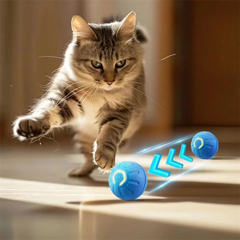 Smart Interactive Dog Toy Ball - BIG FRENCHIES